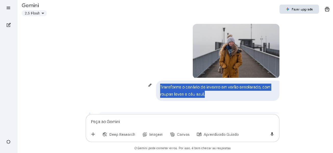 Interface do Gemini